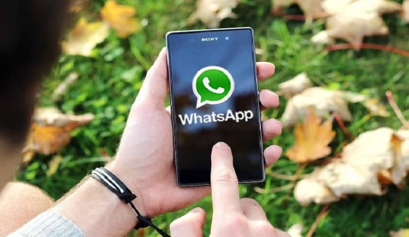 activer la confidentialité WhatsApp en mode invisible