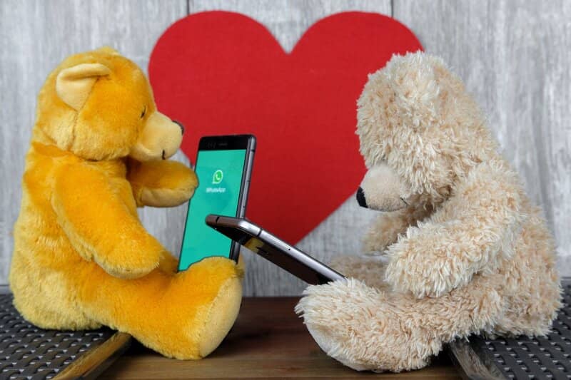 ours en peluche utilisant des téléphones avec WhatsApp