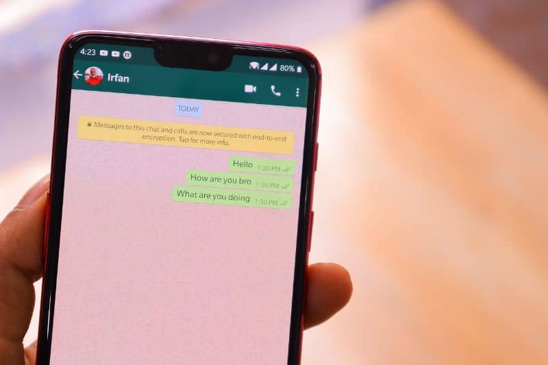 activer les notifications mobiles WhatsApp