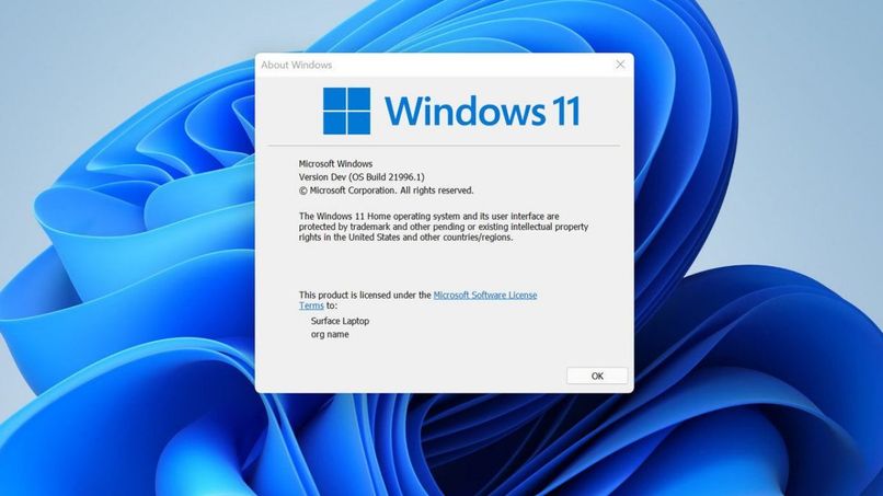 Windows 11 supprime le décalage dans le système 
