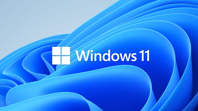 emblème officiel windows 11